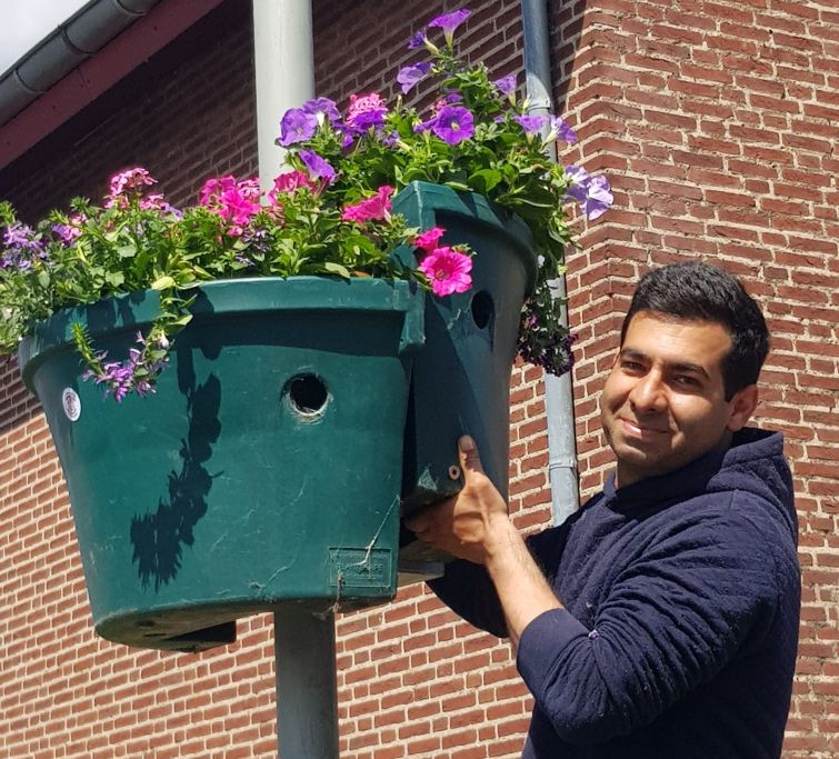 Omid vrijwilliger van AZC helpt met bloembakken
